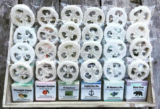 Hospitality - BC Blueberry Bar with FREE Loofah Slice!