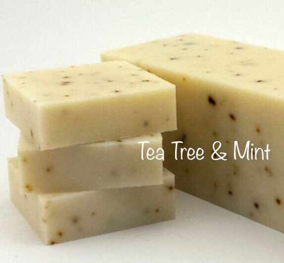 Cold Process - Tea Tree & Mint