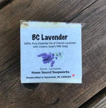 Load image into Gallery viewer, Hospitality - BC Lavender with FREE Loofah slice!