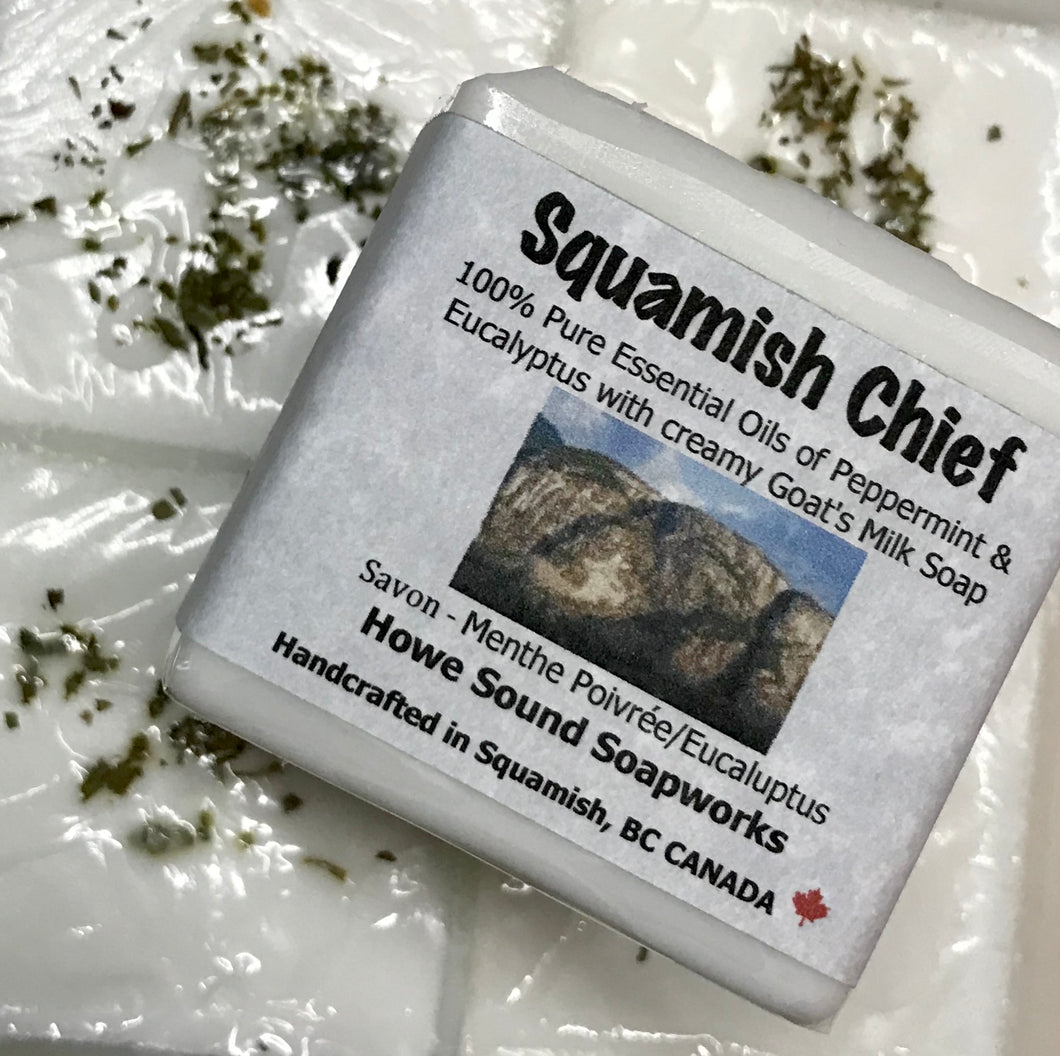 Cube - Squamish Chief