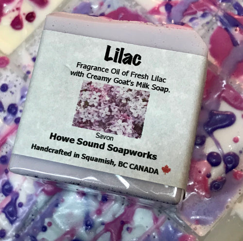 Cube - Lilac