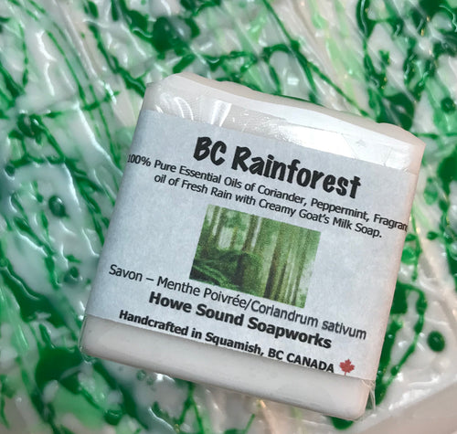 Cube - BC Rainforest
