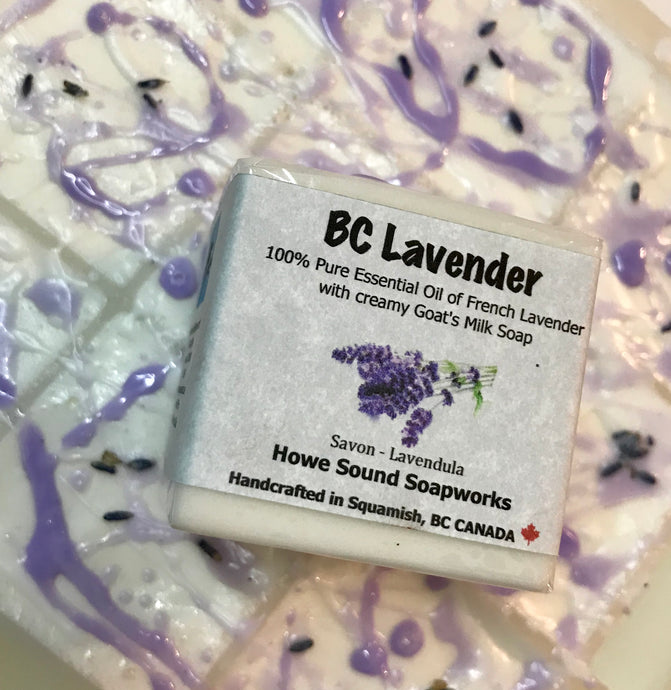 Cube - BC Lavender