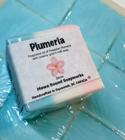 Cube - Plumeria