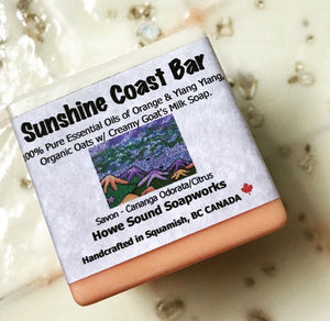 Cube - Sunshine Coast