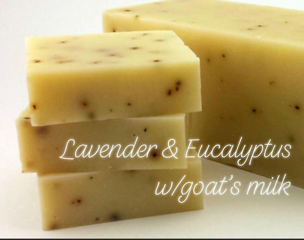 Cold Process - Lavender & Eucalyptus with Goats Milk