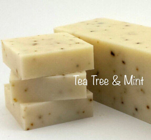 Cold Process - Tea Tree & Mint