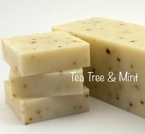 Cold Process - Tea Tree & Mint